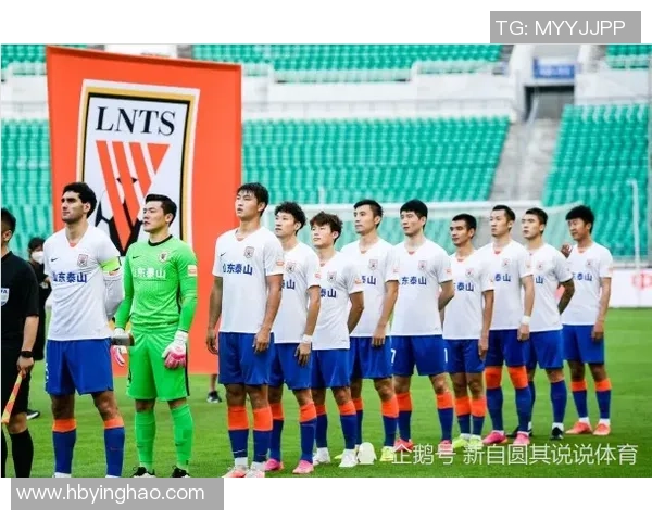 上海网球队实力揭秘：网球巨献背后的训练与团队精神